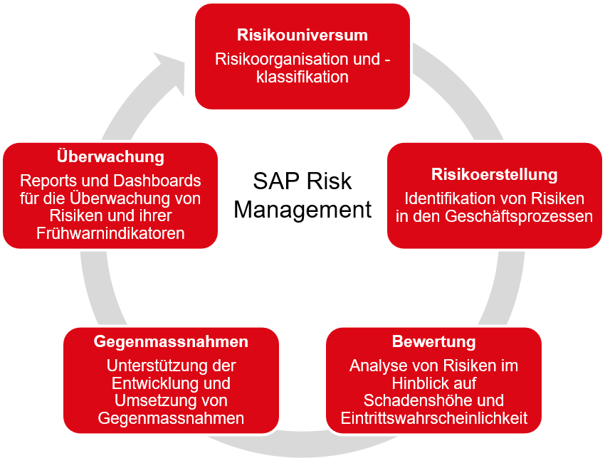 Grafik zum SAP Risk Management Prozess