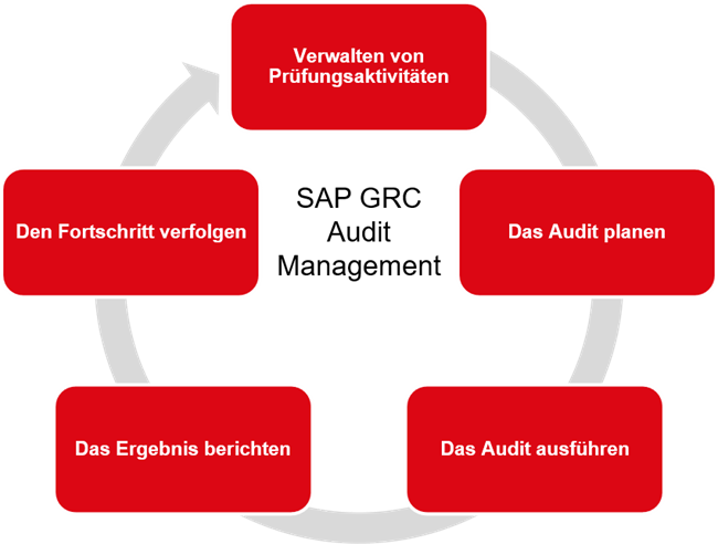 Grafik zu SAP GRC Audit Management