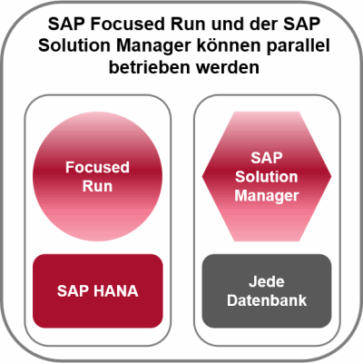 Grafik SAP Focused Run und Solution Manager