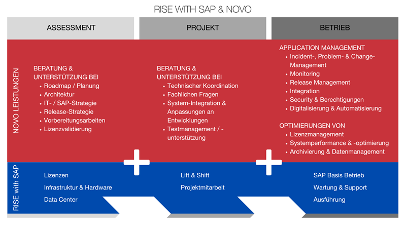 RISE with SAP 3