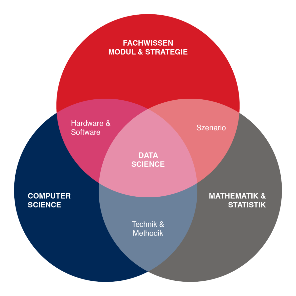 Potenzial von Big Data Science