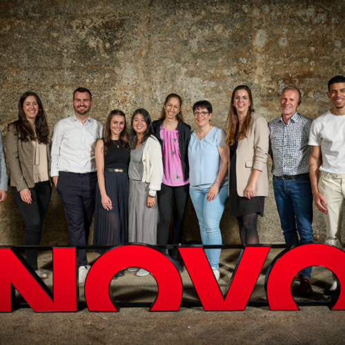 Beratungseinstieg für Fachprofis