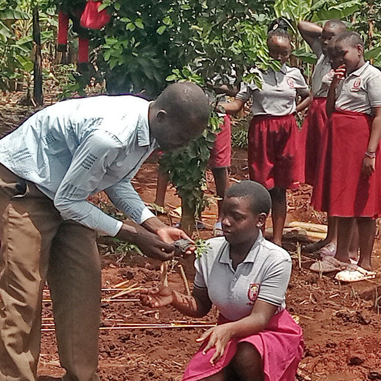 F4s agroforestry4future 2x